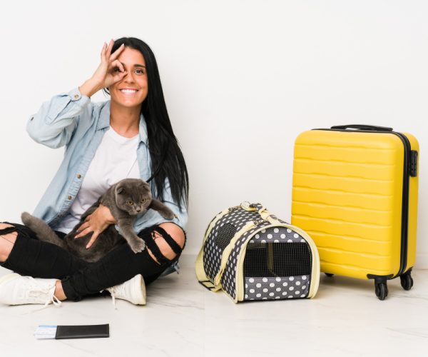 Viajar com seu pet é possível! Planejamento e cuidado são essenciais para uma experiência tranquila e segura