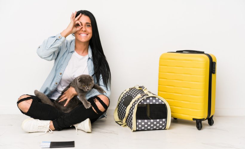 Viajar com seu pet é possível! Planejamento e cuidado são essenciais para uma experiência tranquila e segura