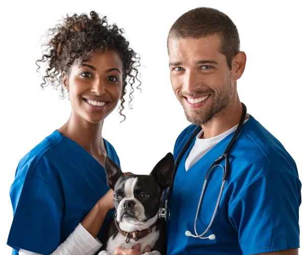 Televets TELEMEDICINA VETERINÁRIA 24 por 7 transparente