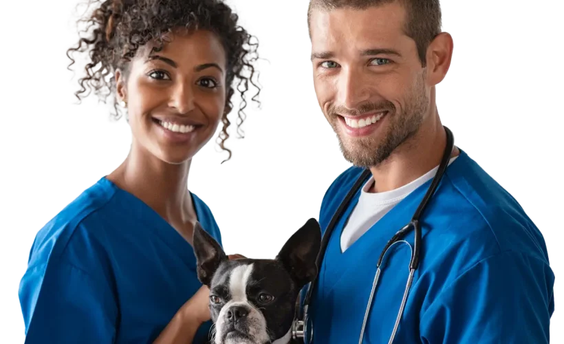 Televets TELEMEDICINA VETERINÁRIA 24 por 7 transparente