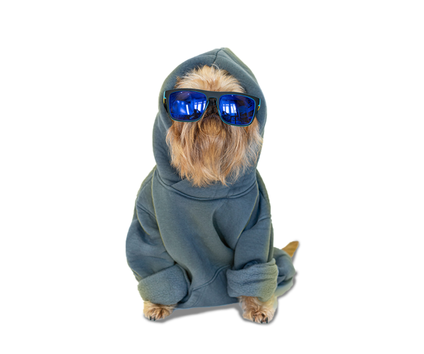 Televets - Humanização com equilíbrio: carinho, respeito e cuidado para o bem-estar do seu pet.