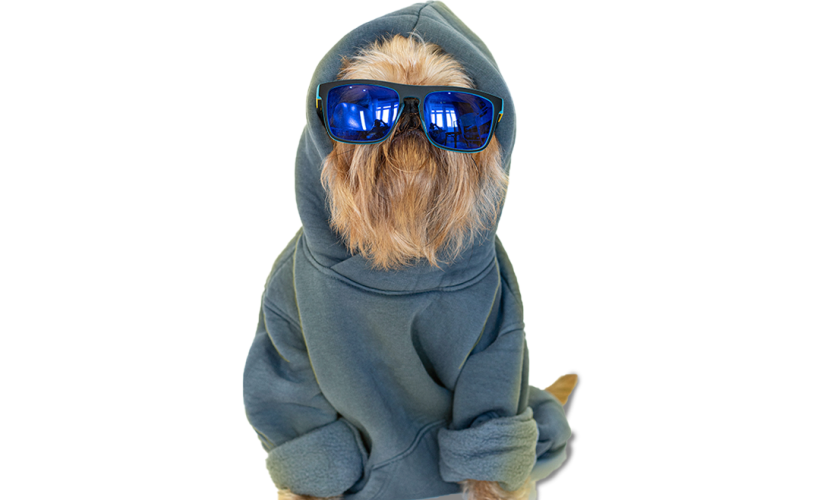 Televets - Humanização com equilíbrio: carinho, respeito e cuidado para o bem-estar do seu pet.